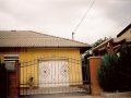 patina_33
